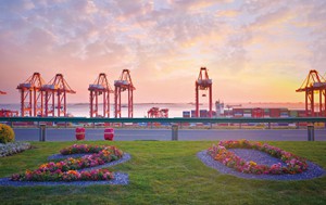 <span style='color:red'>[freemarker标签异常，请联系网站管理员]</span>